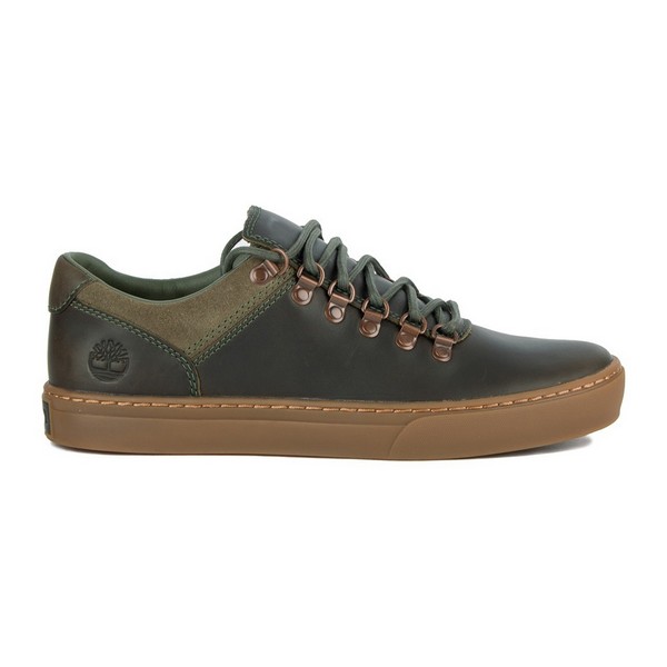 Sportskor Casual Herr Timberland ADV 2.0 CUPSOLE ALPINE OX Läder