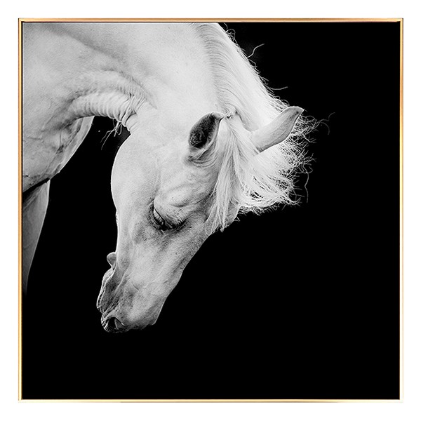 Tavla Horse BW (100 x 2,5 x 100 cm)